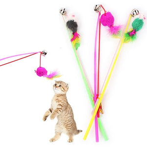 Pet cat Interactive toy