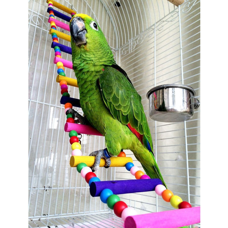 Bird Parrot Wood Colorful Climbing Ladder toy