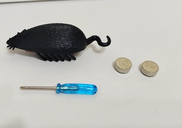 Battery-Powered Cockroach & Mouse Toy
