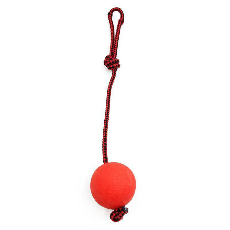 Dog Ball on a Rope Pet Puppy Tug Balls Toys