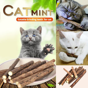 Cat clean teeth Pure natural catnip pet cat