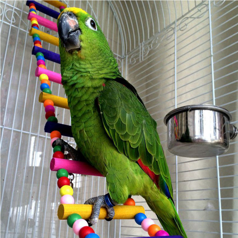 Birds Pets Parrots Ladders Climbing Toy