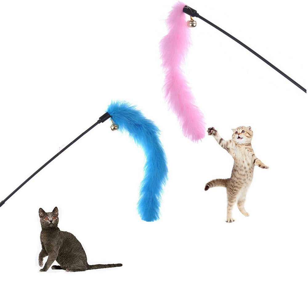 Color Premium Pet Interactive Toy